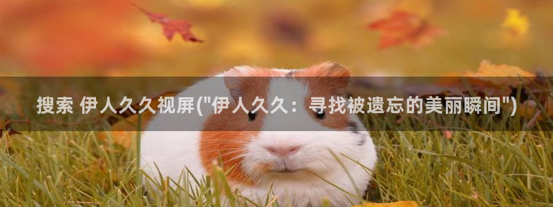 伊人色情网视频在线：搜索 伊人久久视屏(\