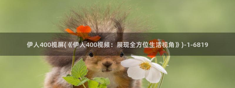 伊人久久动漫影院：伊人400视屏(《伊人400视频：展现全方位生活视角》)