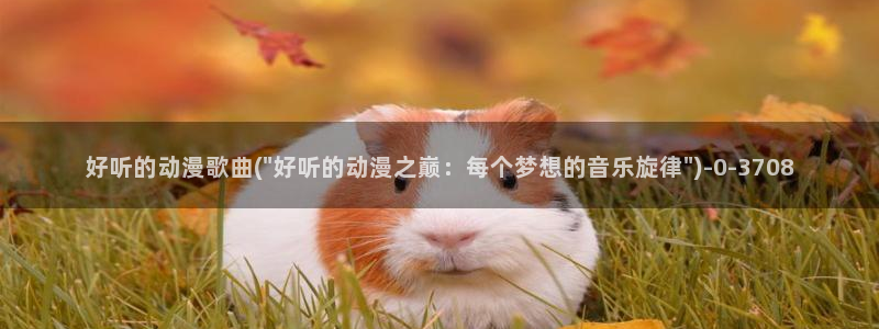 51动漫