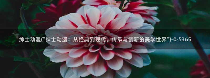 怡萱动漫