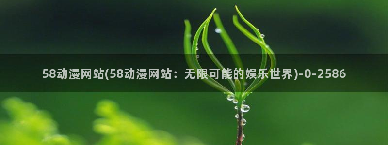 万有引力动漫